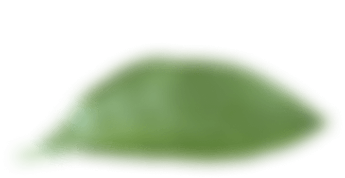 Ornament_Daun_1 Ornament_Daun_1