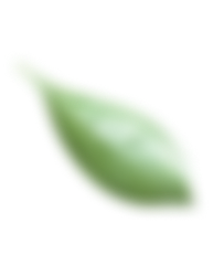 Ornament_Daun_5 Ornament_Daun_5